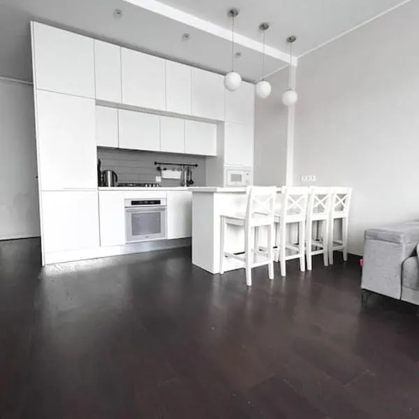 Riga Modern Apartment，位于凯卡瓦自治市的酒店