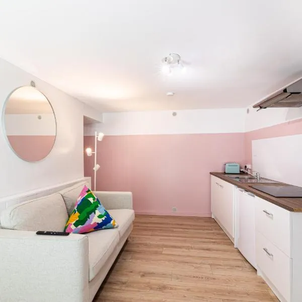 La vie en rose - appartement cosy - centre ville，位于Ordan-Larroque的酒店