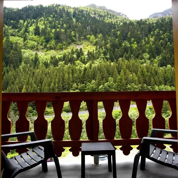 La Sapinière St Lary Soulan,位于圣拉里苏朗的酒店