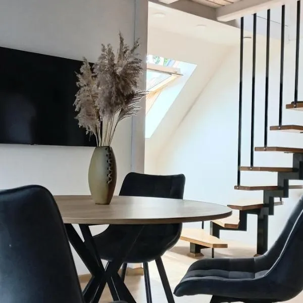 Nendrės apartamentai，位于奈达的酒店