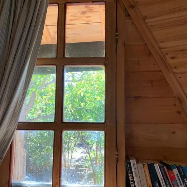 בקתת עץ בחורש במנות - דום גיאודזי - Wooden cabin in Manot，位于Manot的酒店