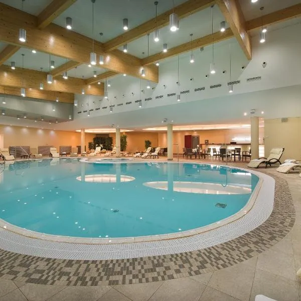 迪亚曼特疗养酒店，位于伏尔塔瓦河畔赫卢博卡的酒店