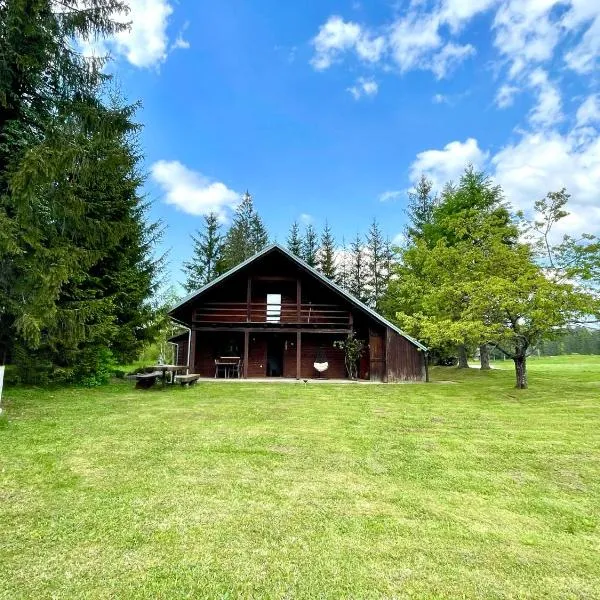 Remote Cabin in Nature，位于诺瓦沃什的酒店