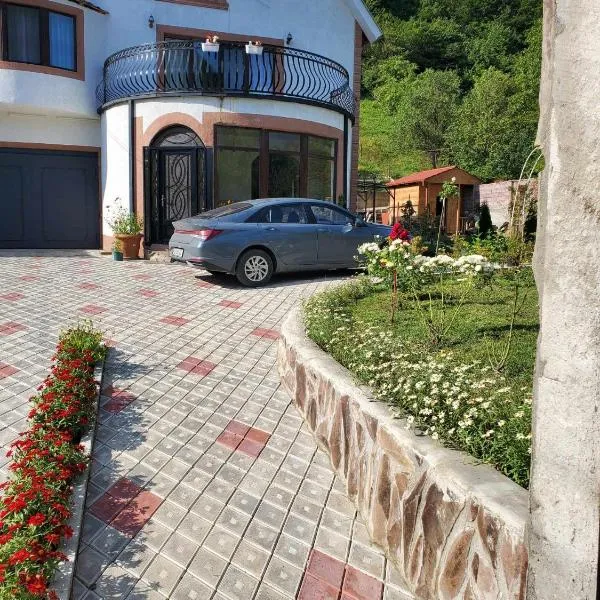 DIOSKURIA BORJOMi，位于博尔若米的酒店