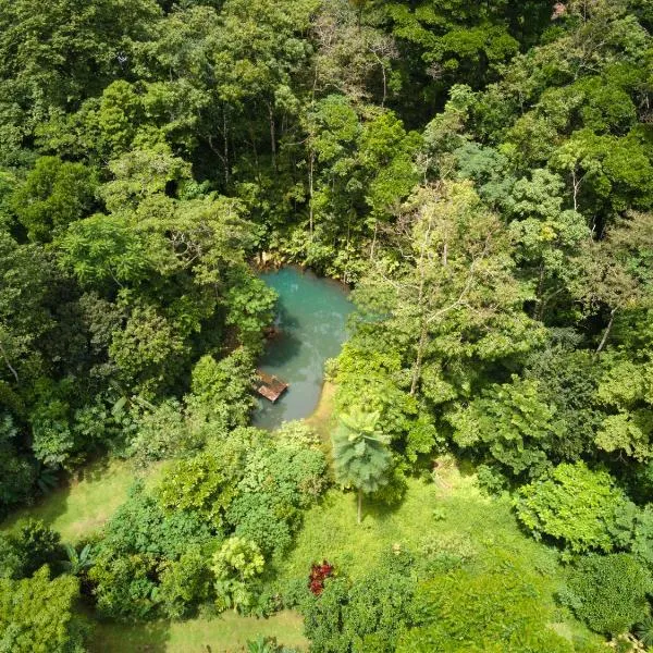 Santuario de Ranas - Explora nuestro paraíso natural，位于San Lorenzo的酒店