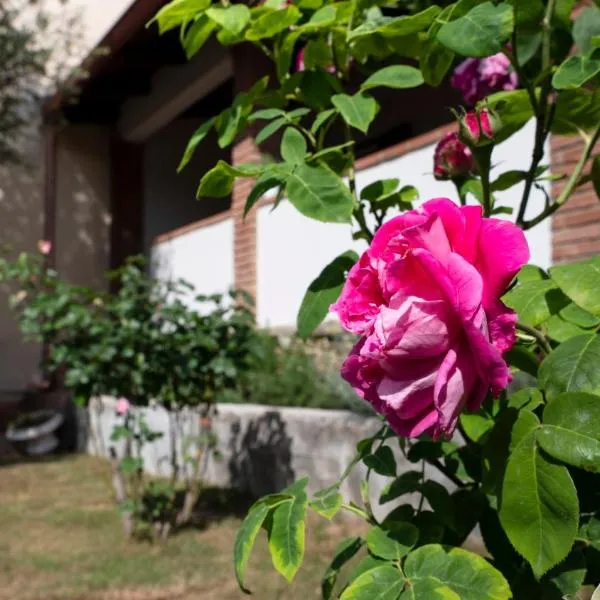 Casa di Elena - Iglesias，位于伊格莱西亚斯的酒店