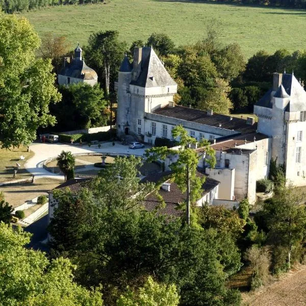 Chateau de Mornay，位于Villeneuve-la-Comtesse的酒店