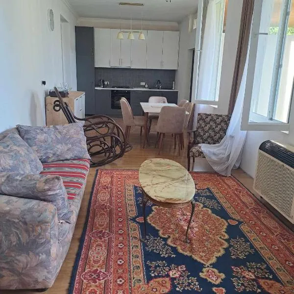 Tamara's Guest House，位于Birkiani的酒店
