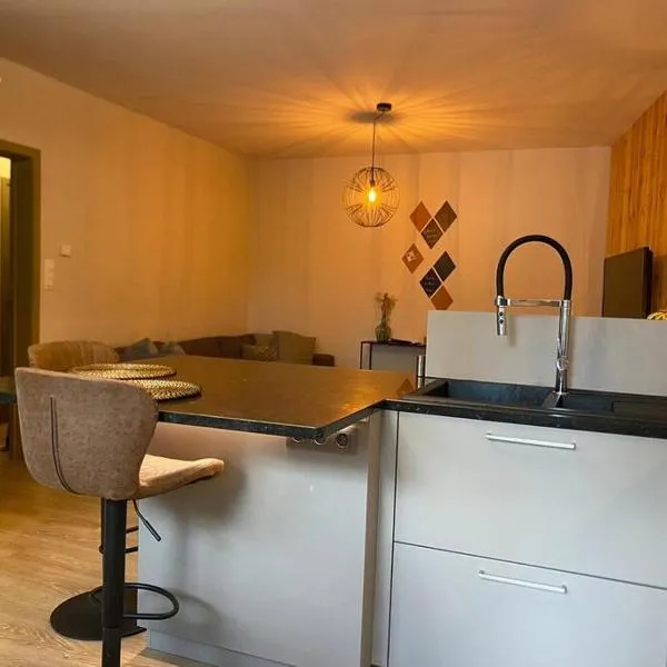 Appartement met topligging，位于登德尔蒙德的酒店