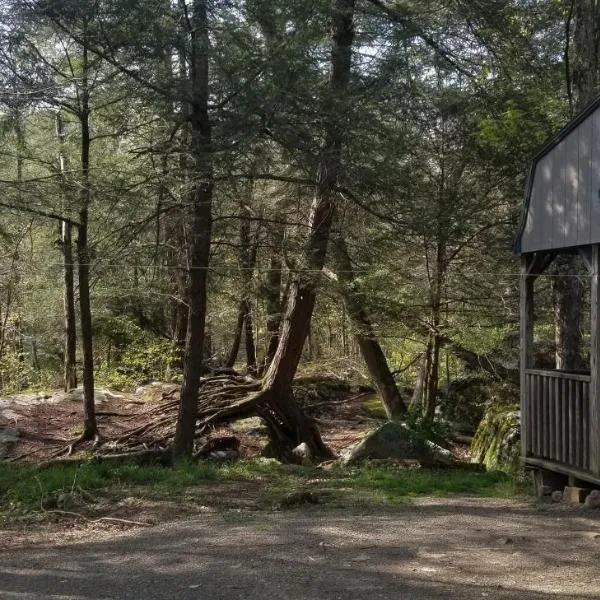Abrams Creek Campground，位于Keyser的酒店