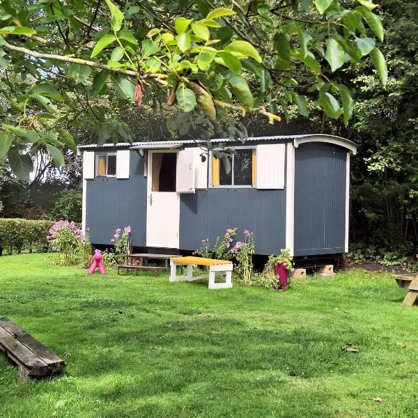 Pipowagen op boerderij camping，位于Wedde的酒店