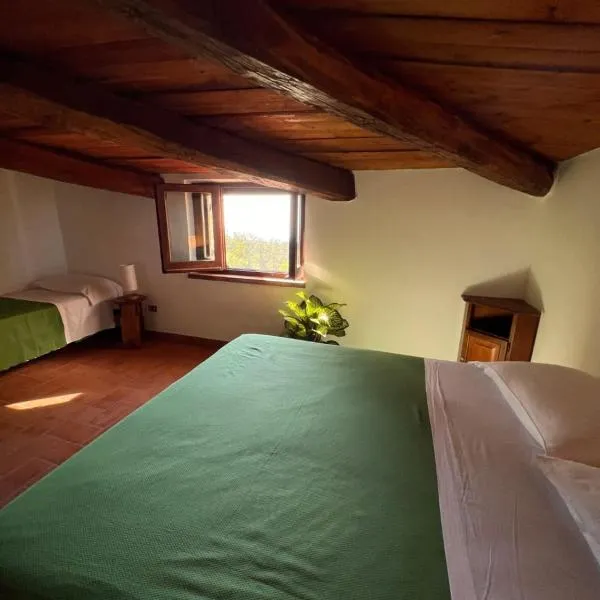 Agriturismo Difesa del Monte，位于格里索利亚的酒店