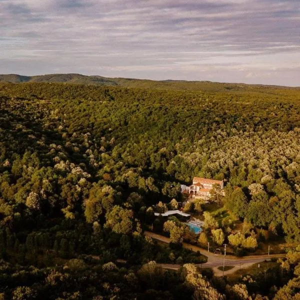 Hotel McPietroasa，位于Haleş的酒店