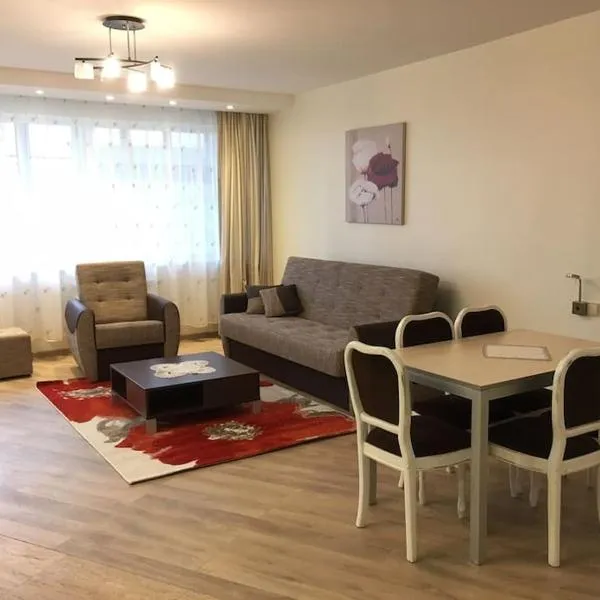 Spacious Apartment in Kintai，位于Kintai的酒店