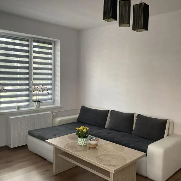 Apartament w Centrum Malborka，位于马尔堡的酒店