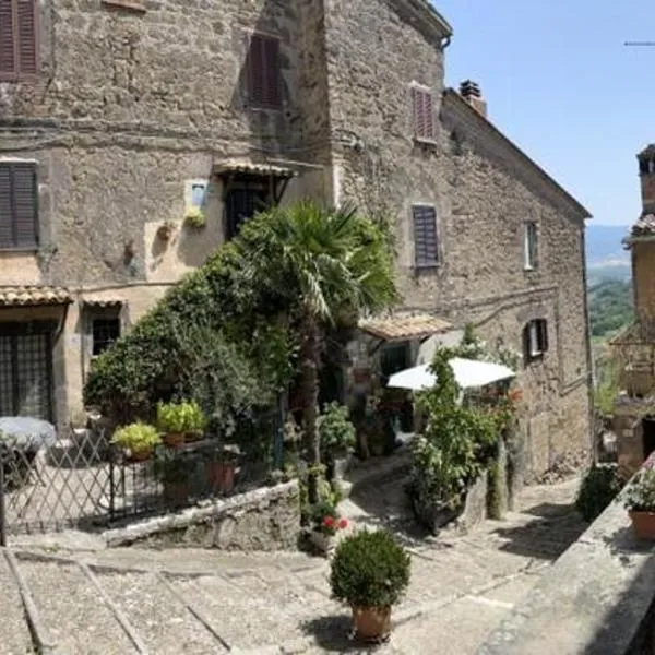 Cortile Nel Borgo，位于Alviano的酒店