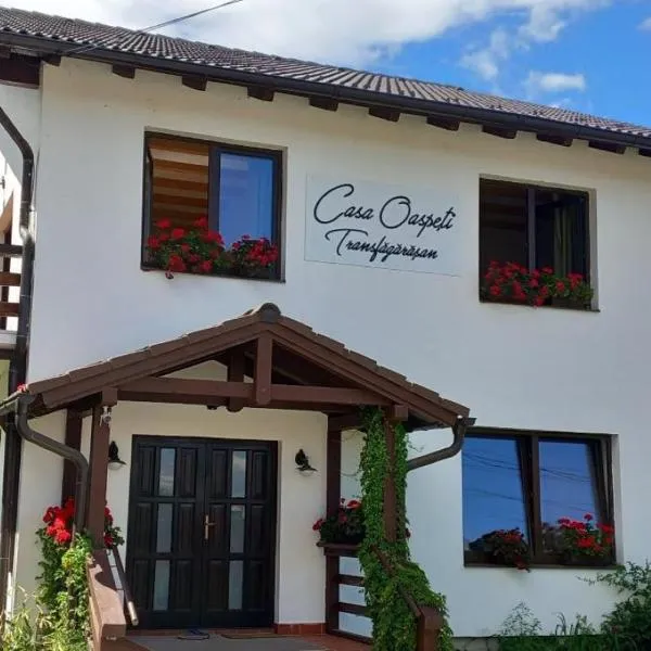 Casa Oaspeti Transfagarasan，位于Cîrţa的酒店