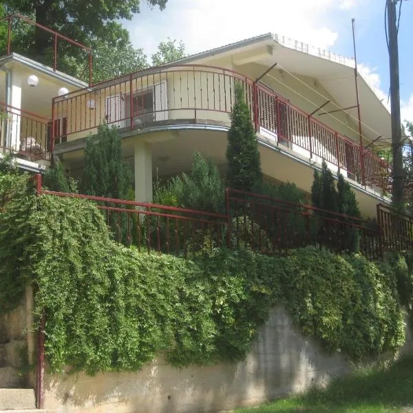 Apartments Cvitini Dvori Garjak，位于Cetina的酒店