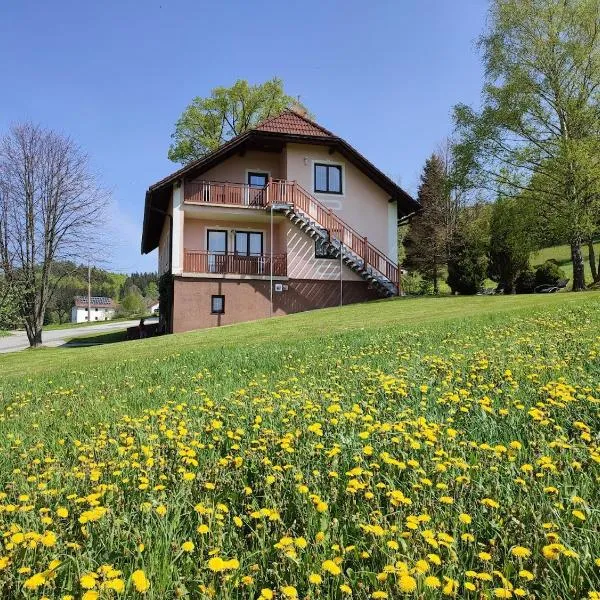 Ferienhaus Schöller，位于Schönbach的酒店