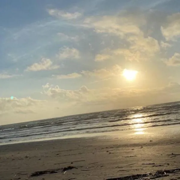 Cozy Coastal Condo，位于科珀斯克里斯蒂的酒店