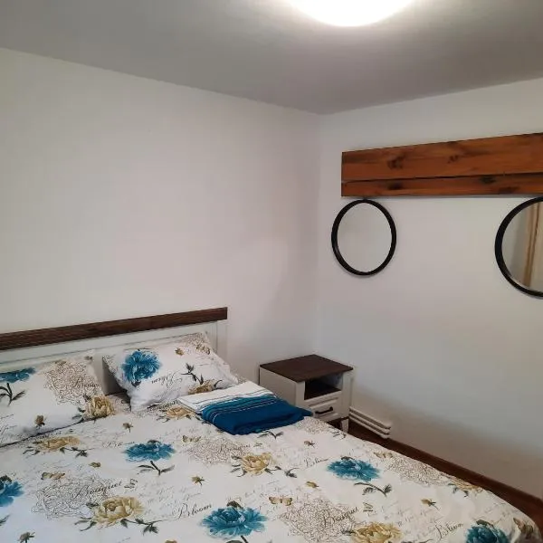 Apartament în regim hotelier，位于德瓦的酒店