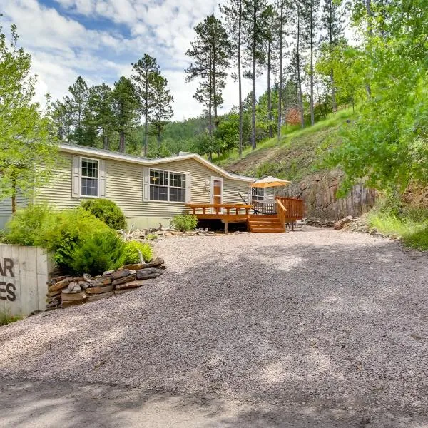 Modern Keystone Home: 4 Mi to Mount Rushmore!，位于奇斯顿的酒店