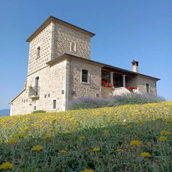 Agriturismo Torre Gialluise，位于Castelfranci的酒店