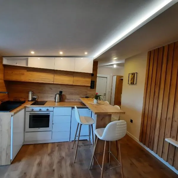 Dream Home, free garage，位于尼什的酒店