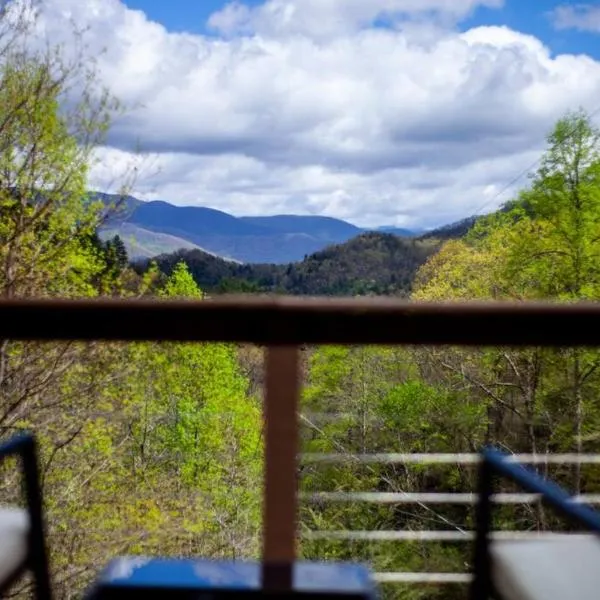 Family Cabin Near Smoky Mtn Entrance Nantahala，位于Robbinsville的酒店