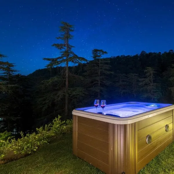StayVista at Pine Estate with Outdoor Jacuzzi，位于西姆拉的酒店