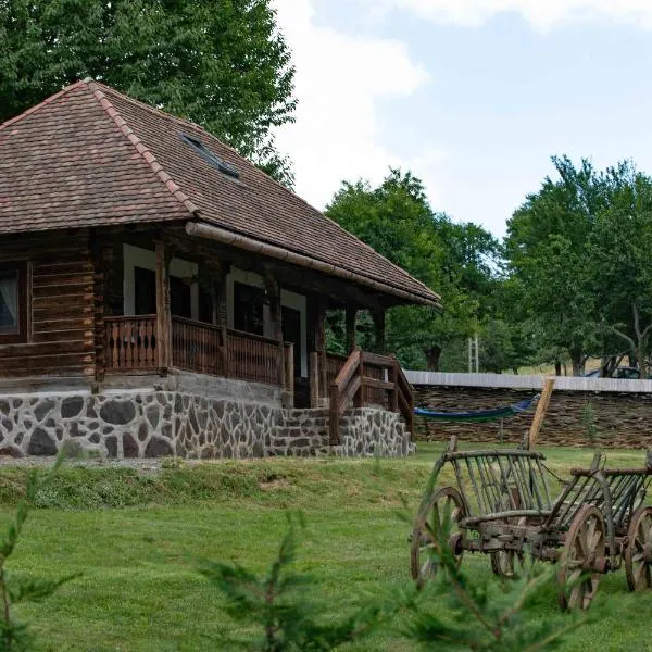 Due Fratelli Village Resort，位于Şinteu的酒店