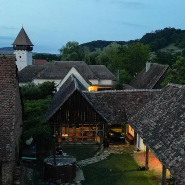 Șura din Seleuș - Seleuș Barn - Idyllic Countryside M Museum House，位于Laslea的酒店