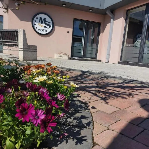 Motel MS，位于Srpski Itebej的酒店