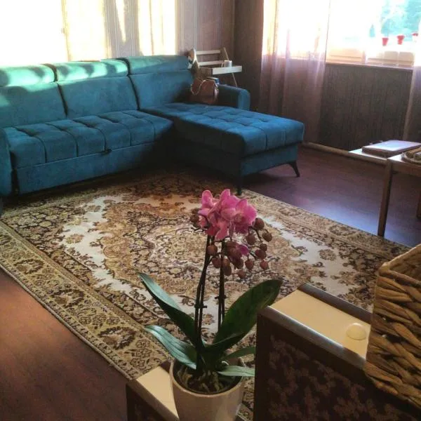 Luxurious En-suit room with Sauna，位于Aseri的酒店