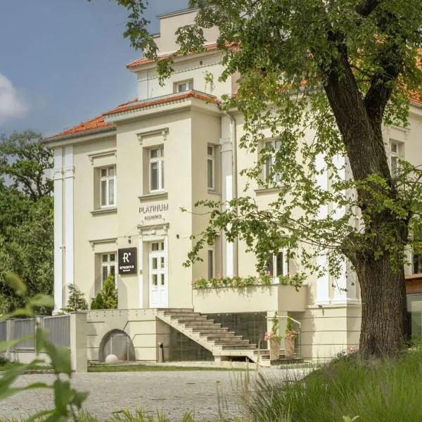 Platinum Residence Boutique，位于波兹南的酒店