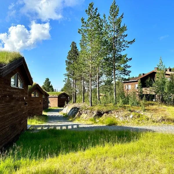 Bjørnfjell Mountain Lodge，位于阿尔塔的酒店
