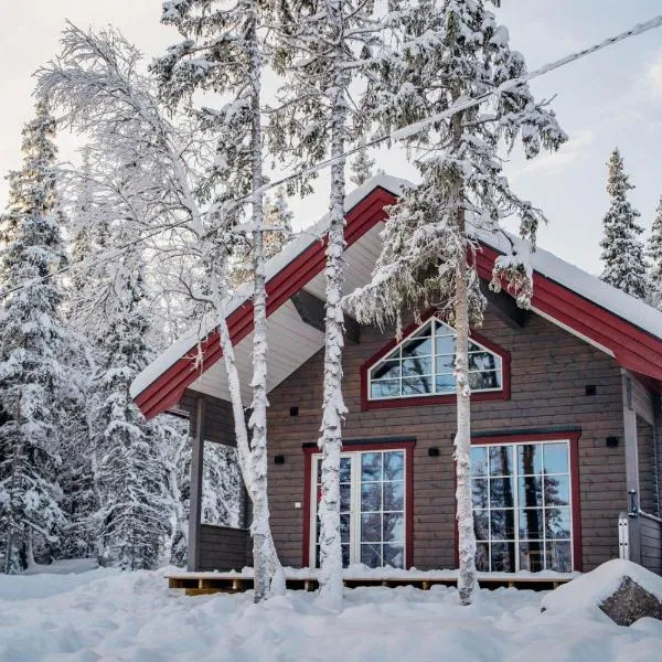 Kåvanstugan Funäsdalen，位于菲奈斯达伦的酒店