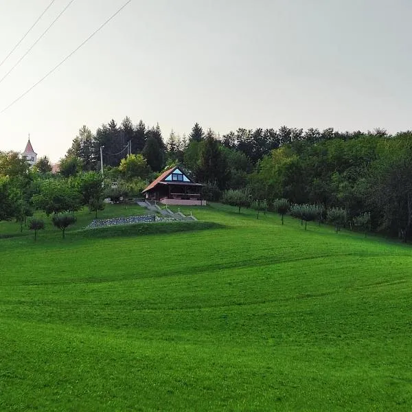 Holiday house Panorama，位于Ozalj的酒店