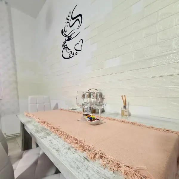 Mural Art Apartament，位于彼得罗沙尼的酒店