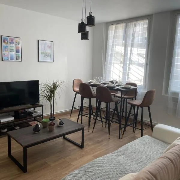 Appartement Spacieux Centre Gare Visitation，位于昂热的酒店