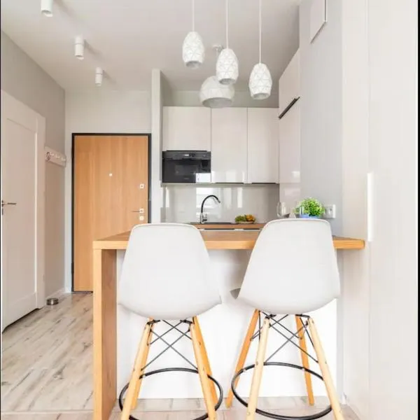 LuxApartmentWarszawa z bezpłatnym podziemnym parkingem，位于华沙的酒店