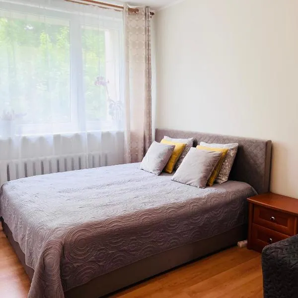 Comfy classic apartment in Trakai，位于Padumble的酒店