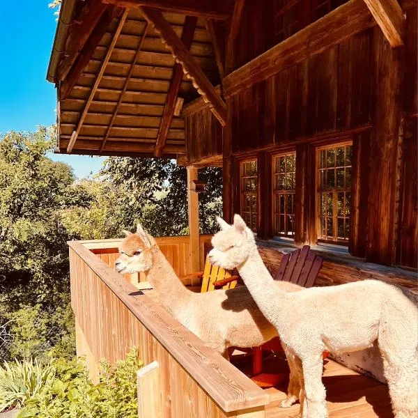 Alpaka-Ferienhaus Oenzlen，位于Wynigen的酒店