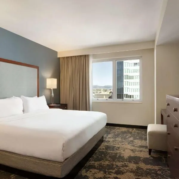 Embassy Suites by Hilton Denver Downtown Convention Center，位于麦岭的酒店