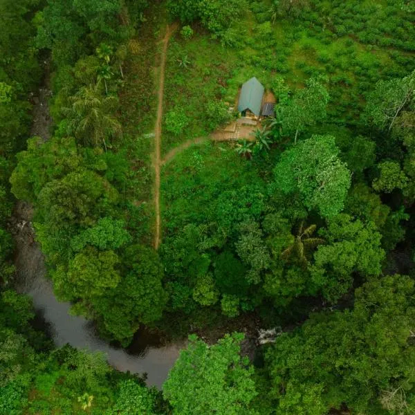Rainforest cabin，位于Dombagoda的酒店