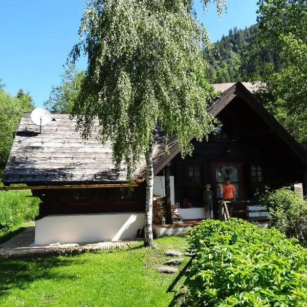 Fischerhütte Donnersbachwald，位于Planneralm的酒店