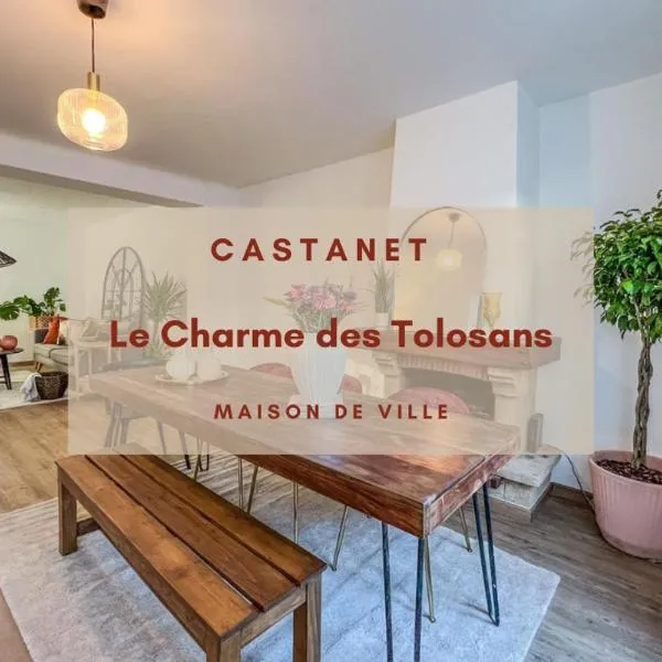 Le Charme des Tolosans，位于Castanet-Tolosan的酒店