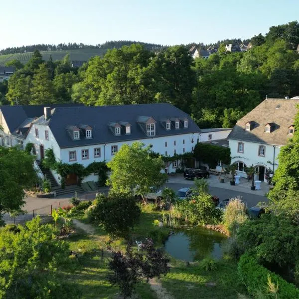 卡洛斯穆赫兰葡萄酒庄酒店，位于施莱希的酒店