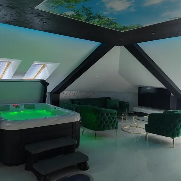 Hedonic Wellness Apartmani，位于尼什的酒店