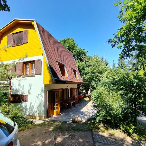 Holiday House Vranov Dam，位于迪耶河畔弗拉诺夫的酒店